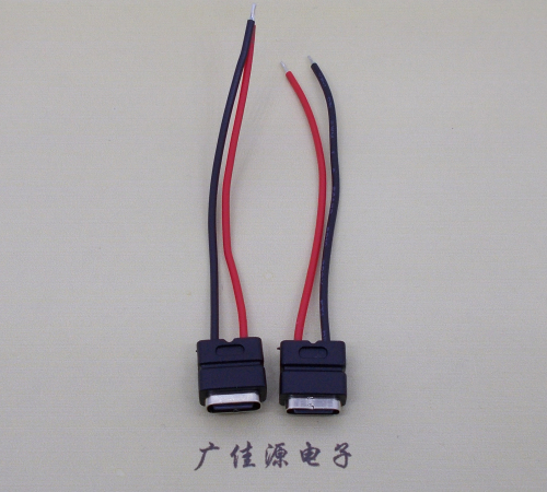 扬州type c2p防水母座焊线式带线注塑成型带接线端子/不带接线端子充电连接器