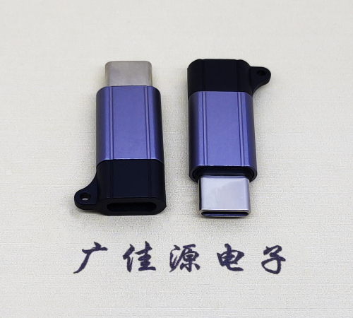 扬州Type-C母转Type-C公 USB3.1 PD100W快冲接口